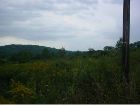 Lot 21 Gardoski Road Kingsley, PA 18813 - Photo 5 of 6 Gallery Image 5