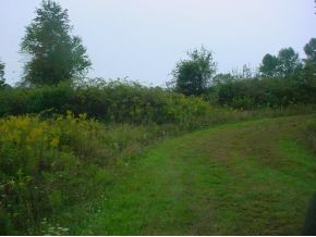 Lot 21 Gardoski Road Kingsley, PA 18813 - Photo 6 of 6 Gallery Image 6