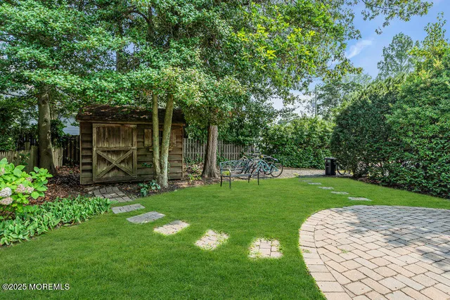 a view of a backyard with potted plants and large trees