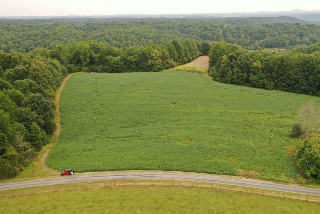 1235 Ewing Ridge Road Dunnville, KY 42528 - Photo 1 of 24 Gridler.1