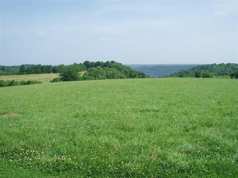 3065 Augusta-Dover Road Augusta, KY 41002 - Photo 12 of 26 Gallery Image 12