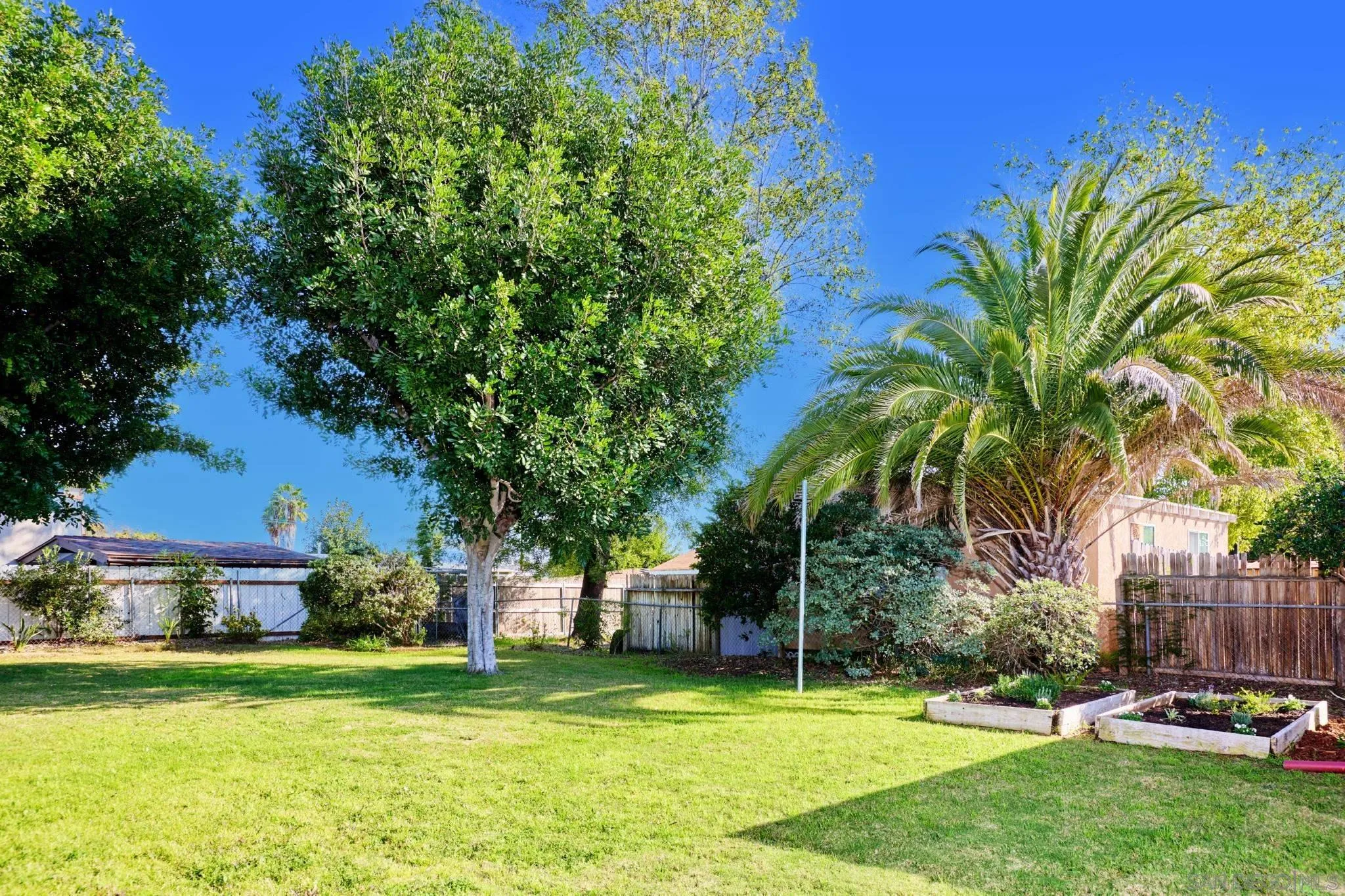 4591 68th Street La Mesa, CA 91942 - Photo 16 of 19 Yard