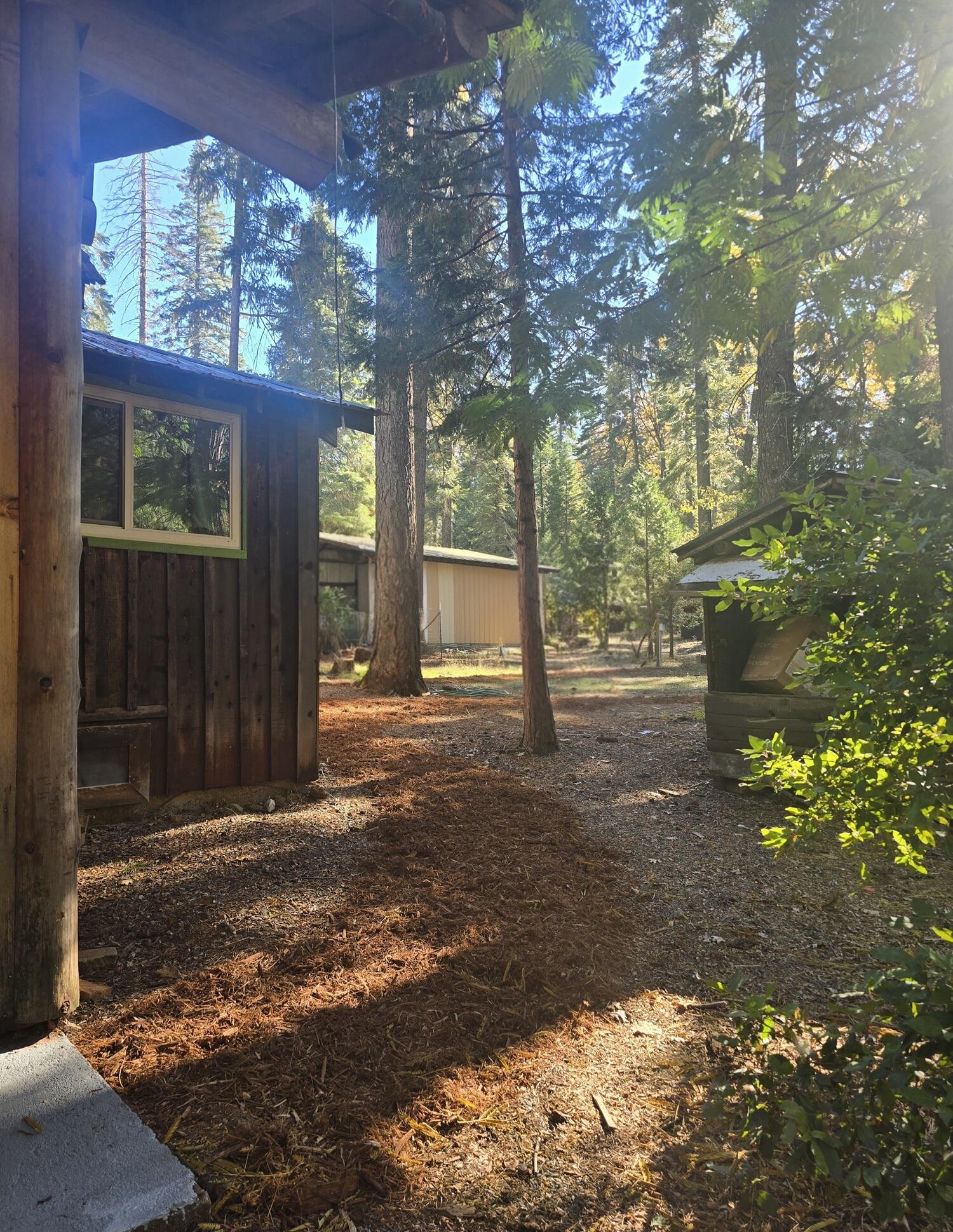 29104 Johnson Road Montgomery Creek, CA 96065 - Photo 11 of 137 Follow the trail