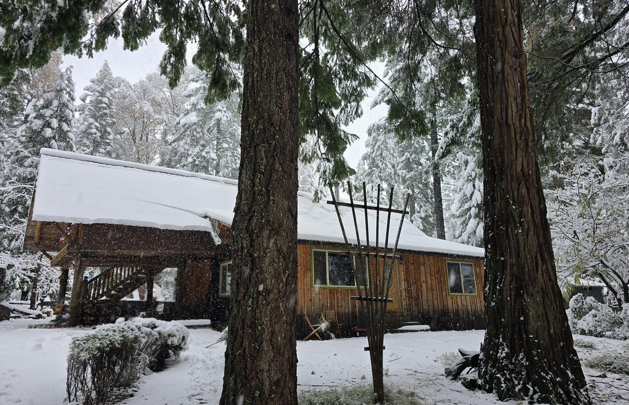 29104 Johnson Road Montgomery Creek, CA 96065 - Photo 125 of 137 Now on the Cabin