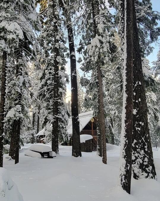 29104 Johnson Road Montgomery Creek, CA 96065 - Photo 126 of 137 Snow on the cabin