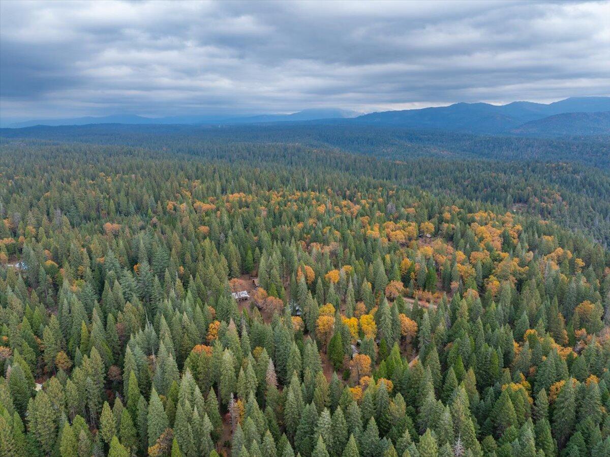 29104 Johnson Road Montgomery Creek, CA 96065 - Photo 128 of 137 053-29104 Johnson Rd - E-8