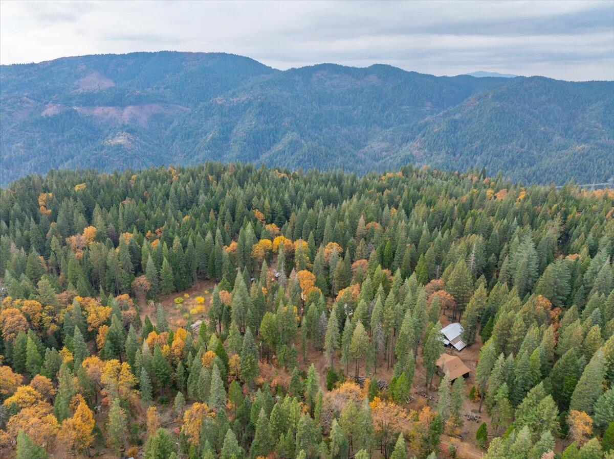 29104 Johnson Road Montgomery Creek, CA 96065 - Photo 130 of 137 a view of a lake in middle of forest