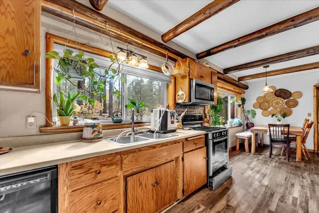 a view of a backyard with wooden fence and large trees