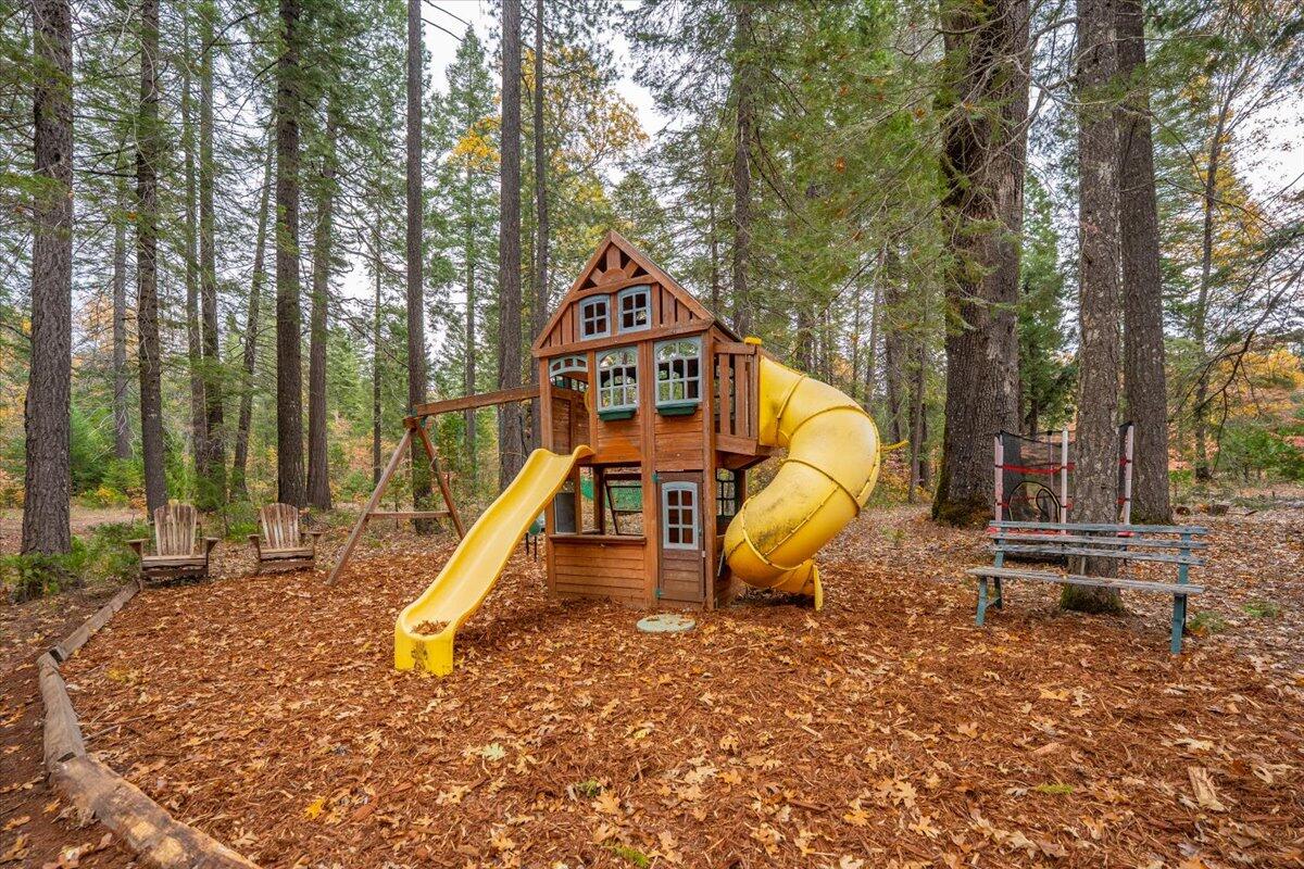 29104 Johnson Road Montgomery Creek, CA 96065 - Photo 69 of 137 a view of a park with slide