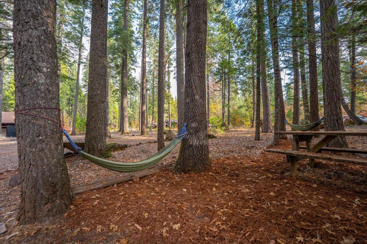 29104 Johnson Road Montgomery Creek, CA 96065 - Photo 71 of 137 070-29104 Johnson Rd - E-30