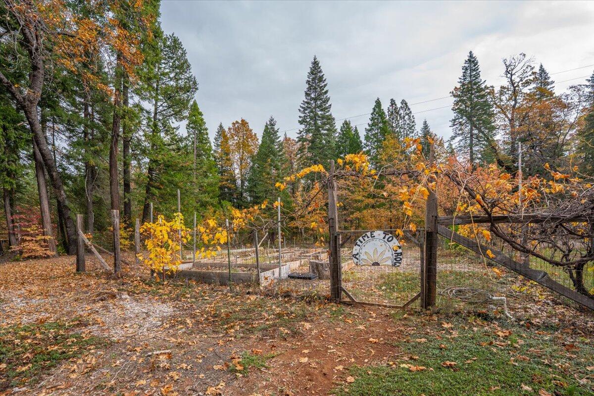 29104 Johnson Road Montgomery Creek, CA 96065 - Photo 93 of 137 094-29104 Johnson Rd - E-58