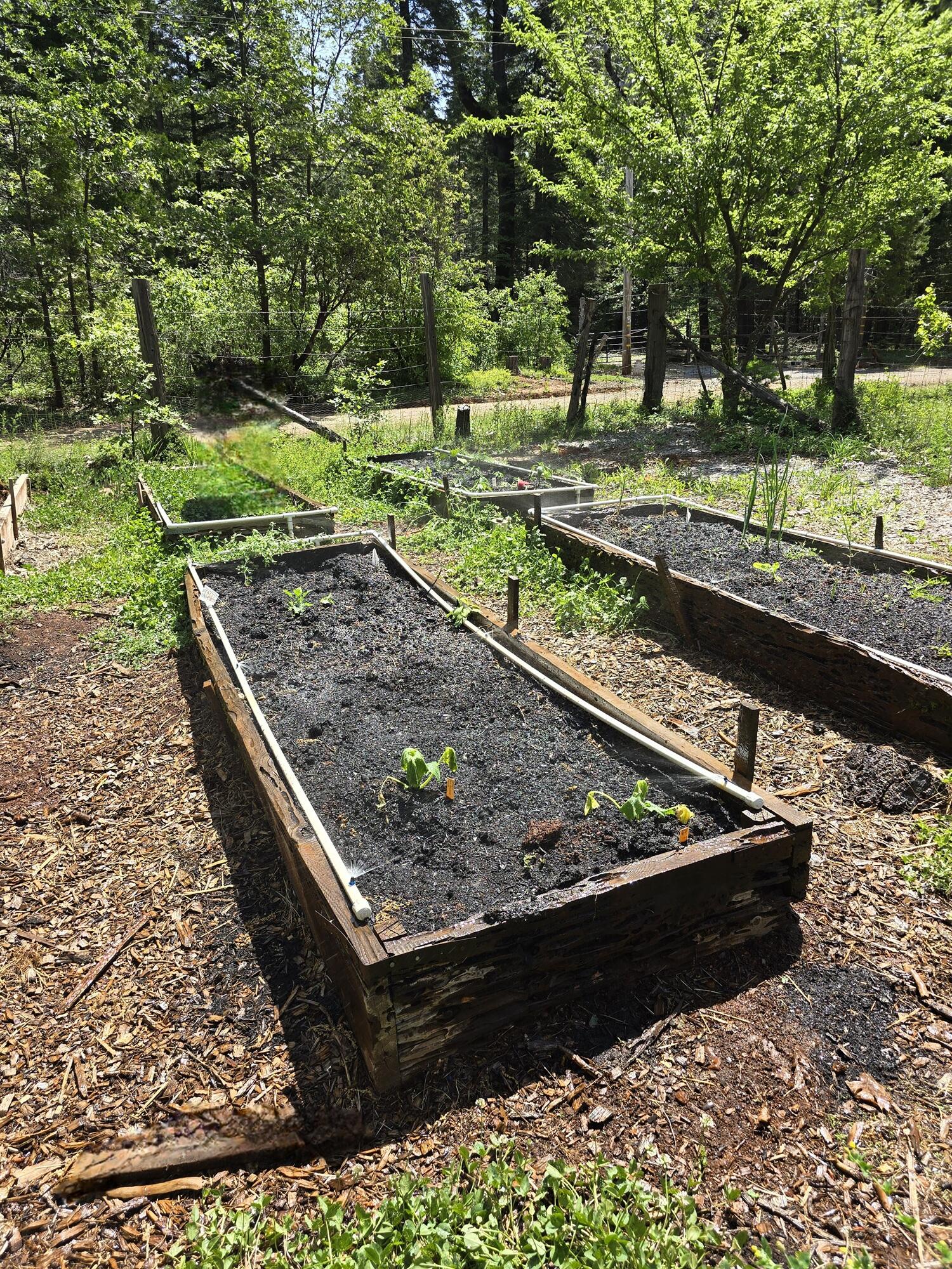 29104 Johnson Road Montgomery Creek, CA 96065 - Photo 94 of 137 Raised beds