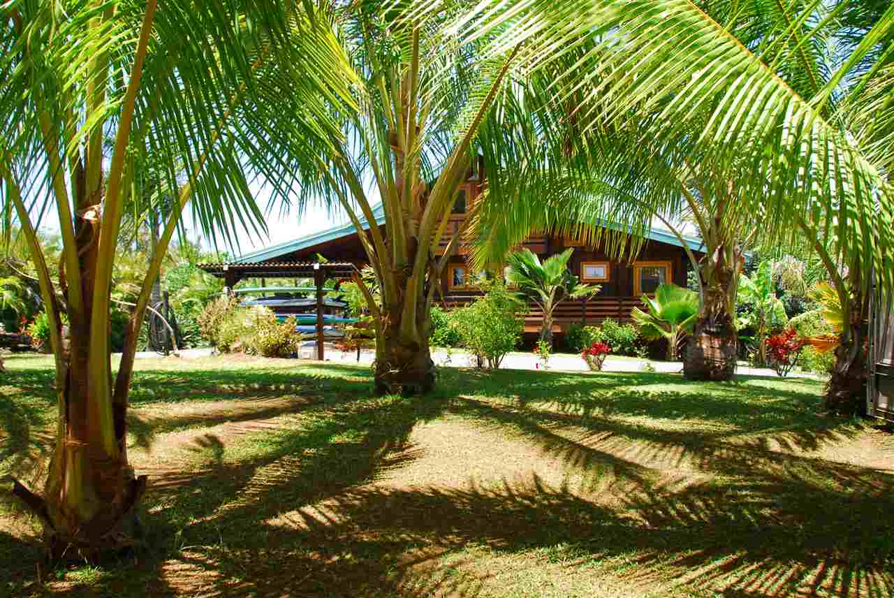 56 West Waipio Road Haiku, HI 96708 - Photo 3 of 25 a view of a yard with plants and large trees