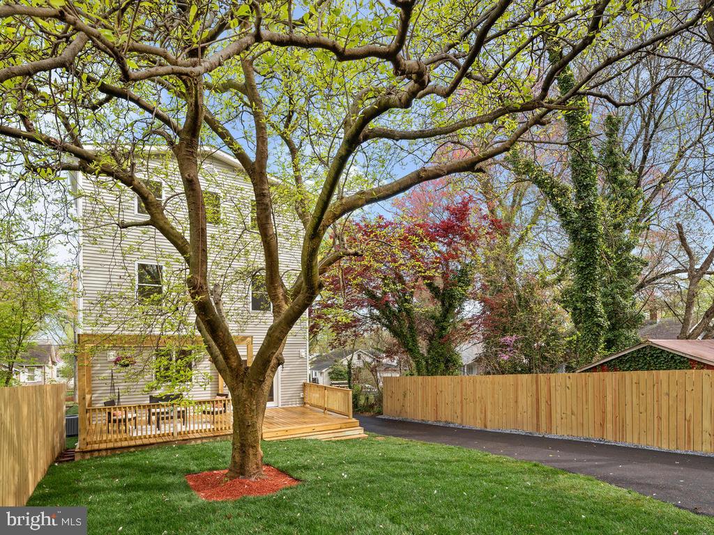 3111 Windom Road Mount Rainier, MD 20712 - Photo 45 of 46 Gallery Image 45