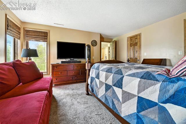 4380 Sandstone Road Monument, CO 80132 - Photo 39 of 48 Bedroom featuring carpet flooring and a textured ceiling
