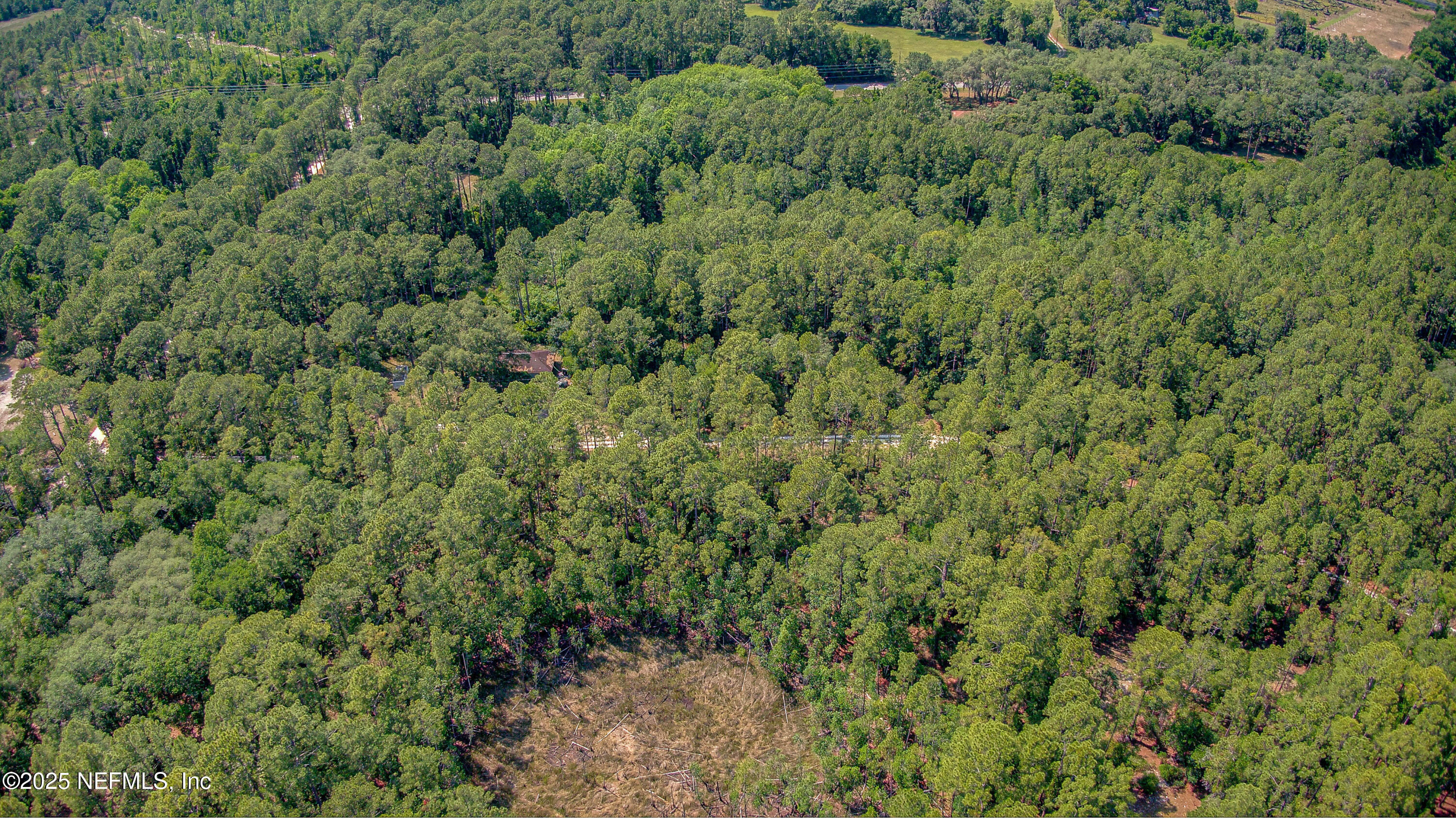 109 Arden Street Georgetown, FL 32139 - Photo 11 of 15 an aerial view of residential house with outdoor space and trees all around