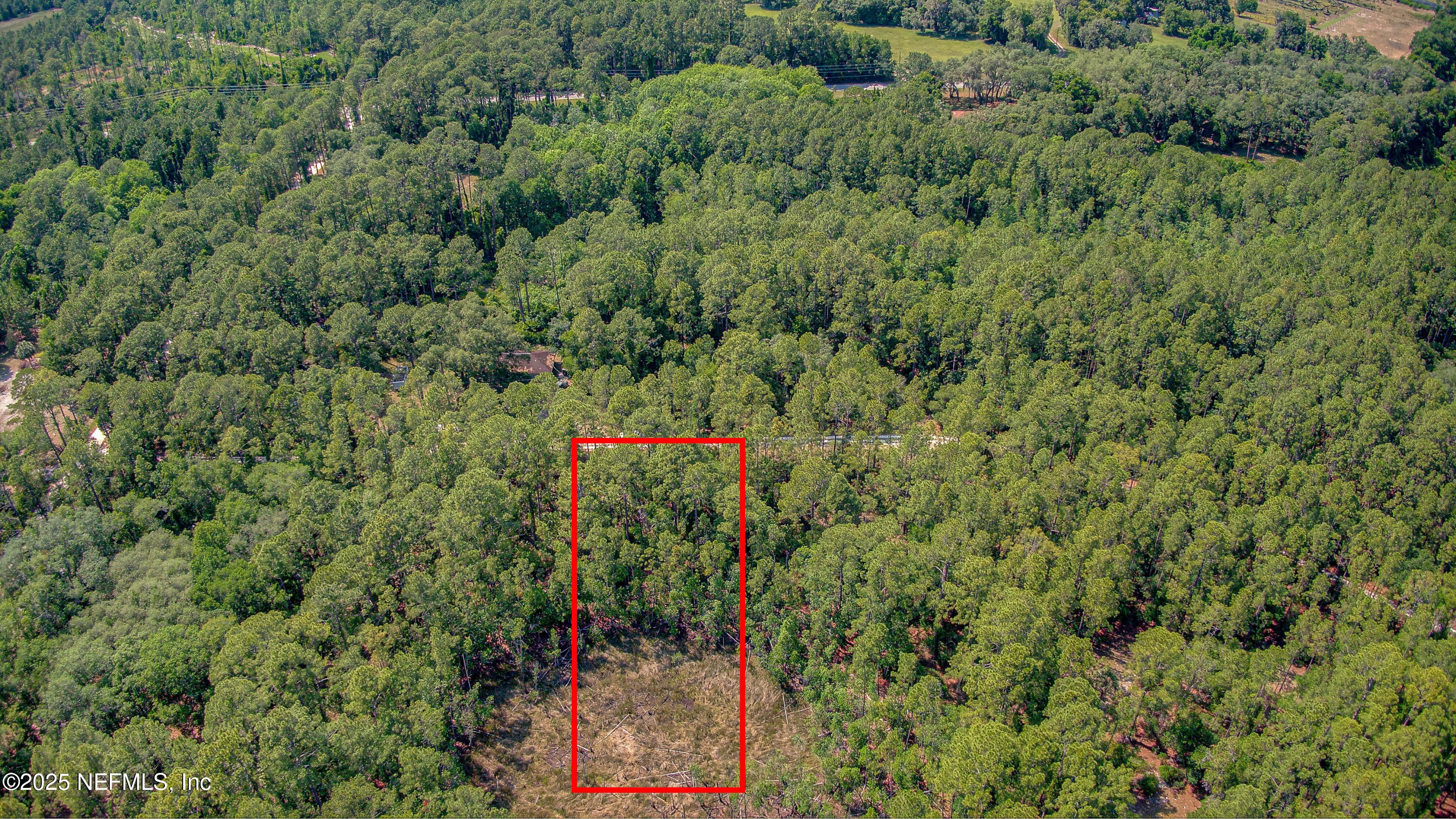 109 Arden Street Georgetown, FL 32139 - Photo 12 of 15 an aerial view of residential house with outdoor space and trees all around