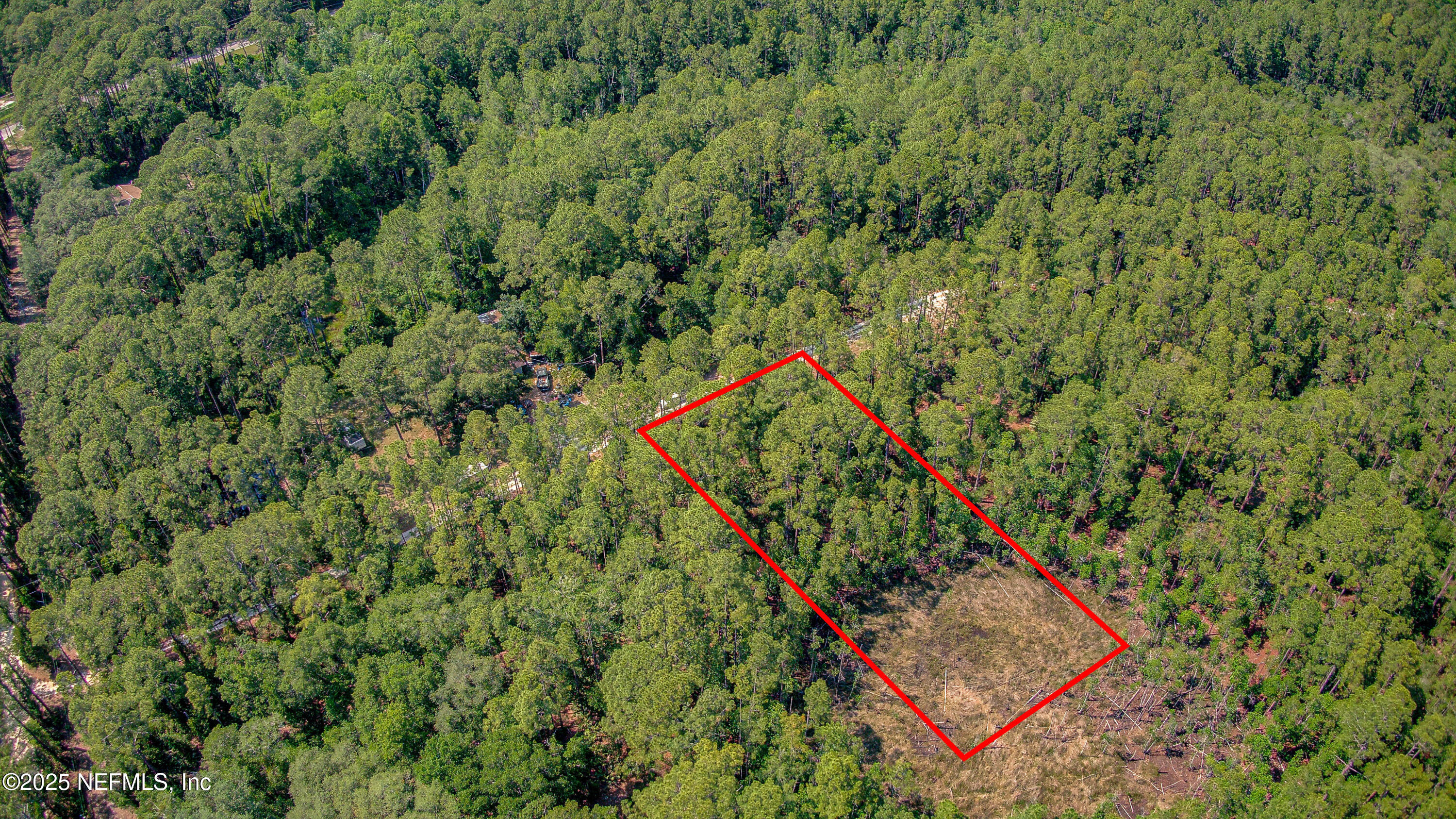 109 Arden Street Georgetown, FL 32139 - Photo 13 of 15 a view of a yard with a lush green forest