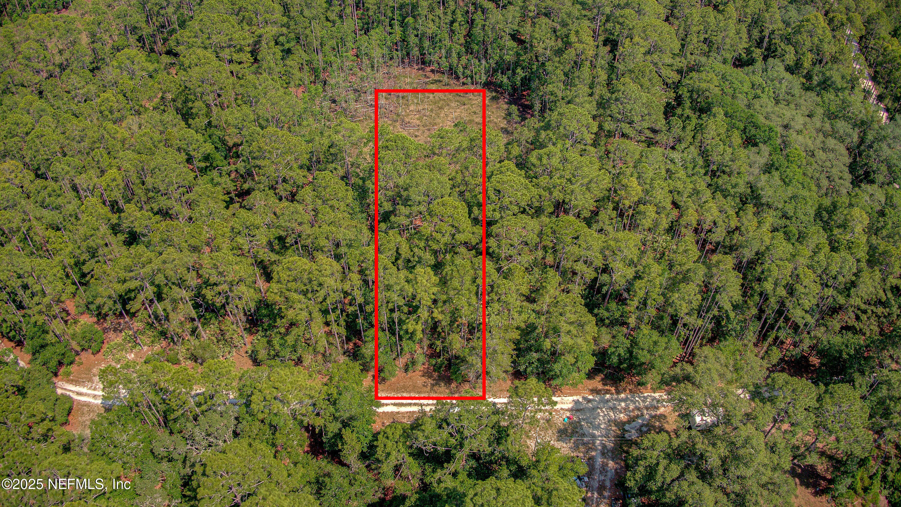 109 Arden Street Georgetown, FL 32139 - Photo 2 of 15 a view of a yard with a tree