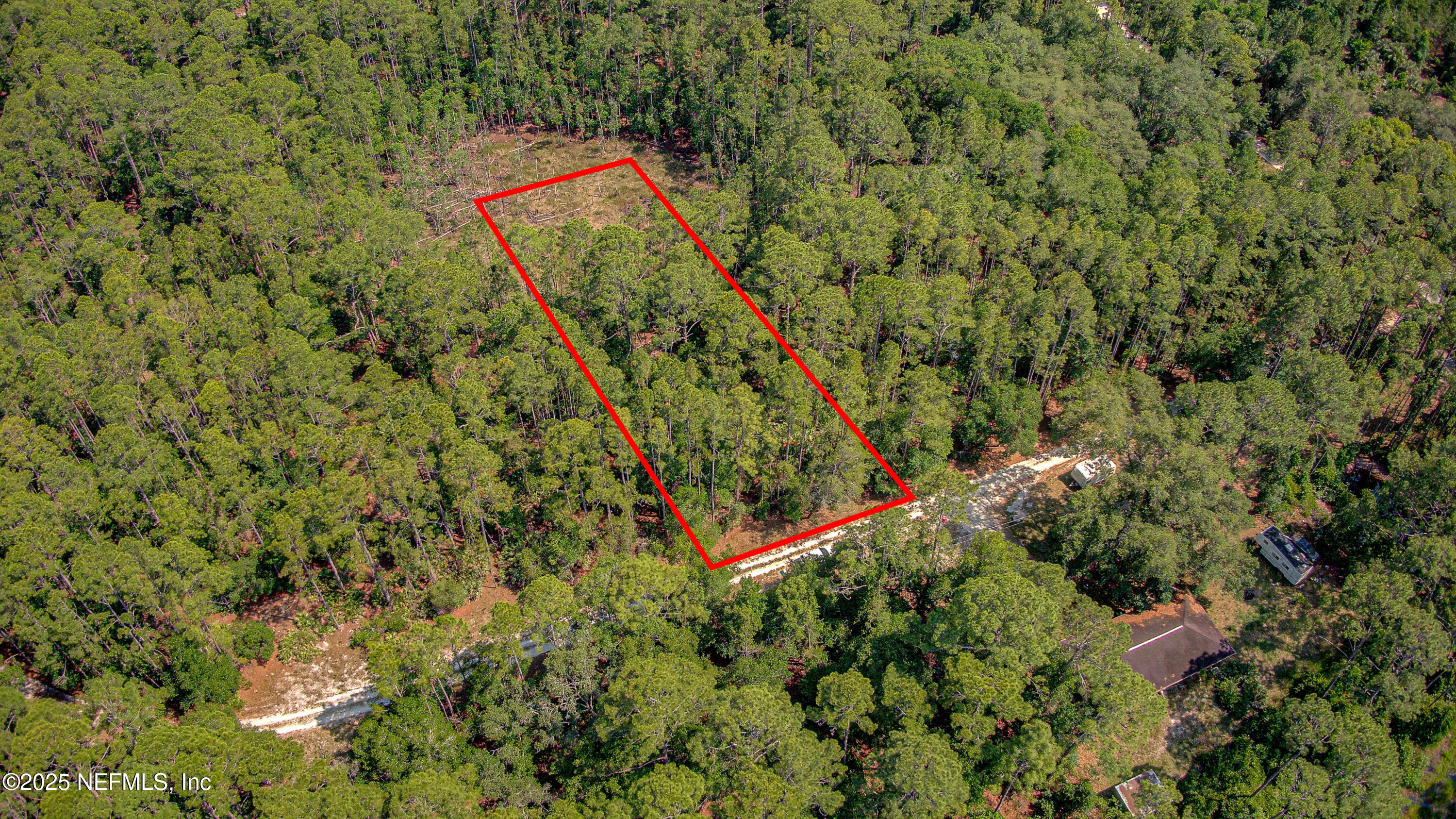 109 Arden Street Georgetown, FL 32139 - Photo 4 of 15 a view of a yard with a plant