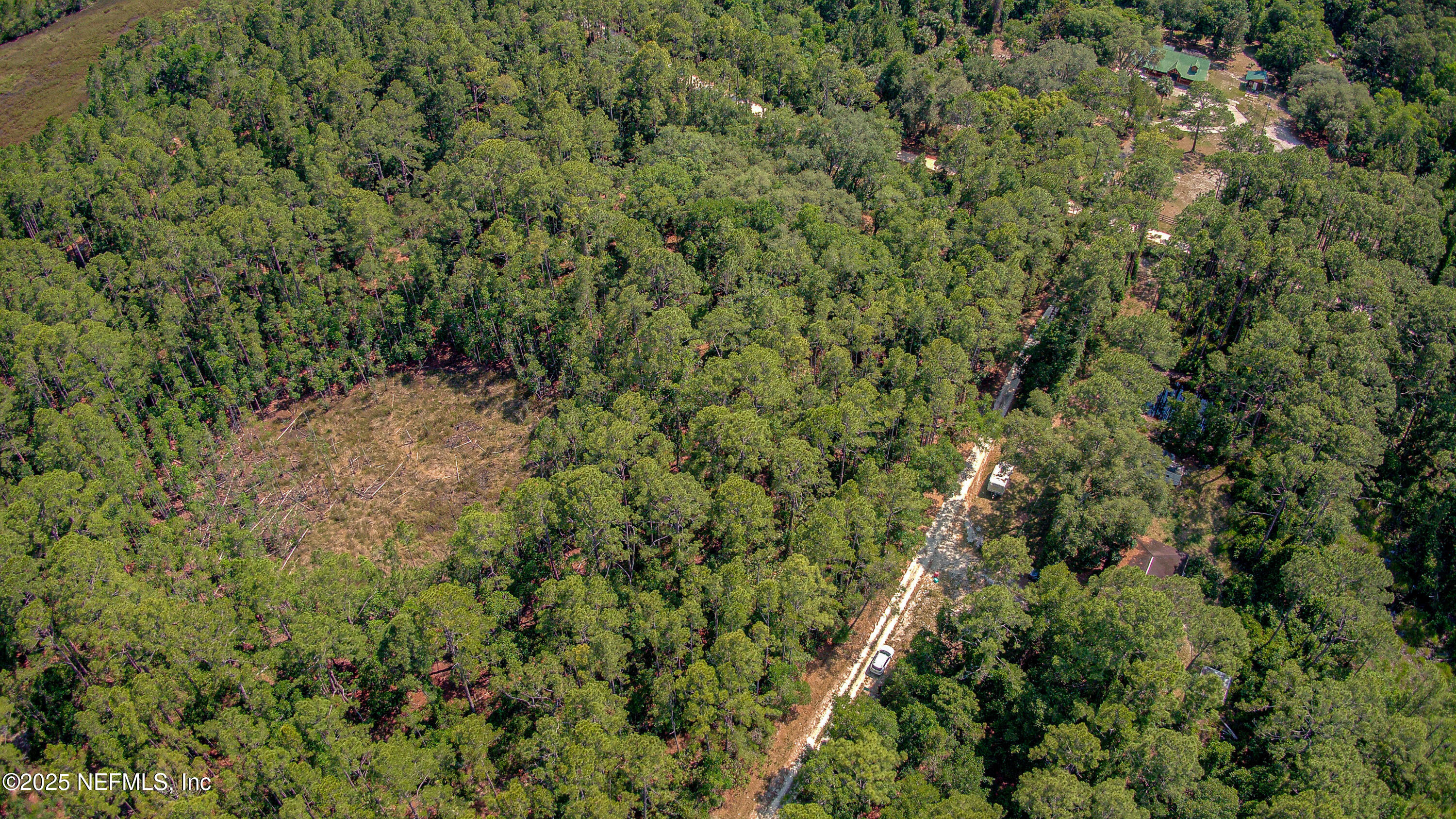 109 Arden Street Georgetown, FL 32139 - Photo 5 of 15 a view of a forest with a tree