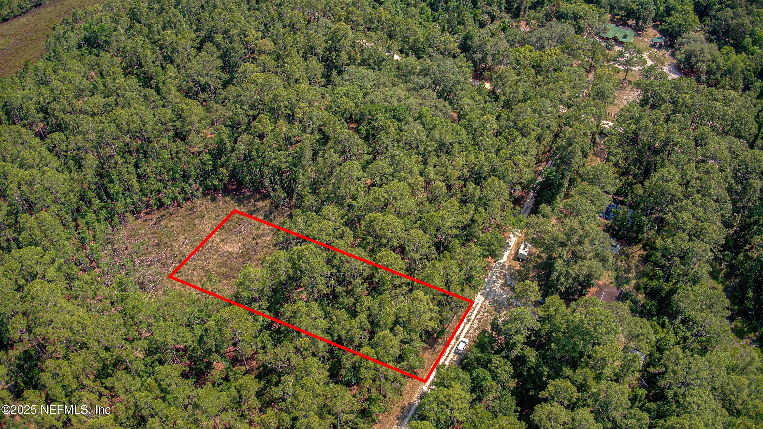 109 Arden Street Georgetown, FL 32139 - Photo 6 of 15 an aerial view of a garden