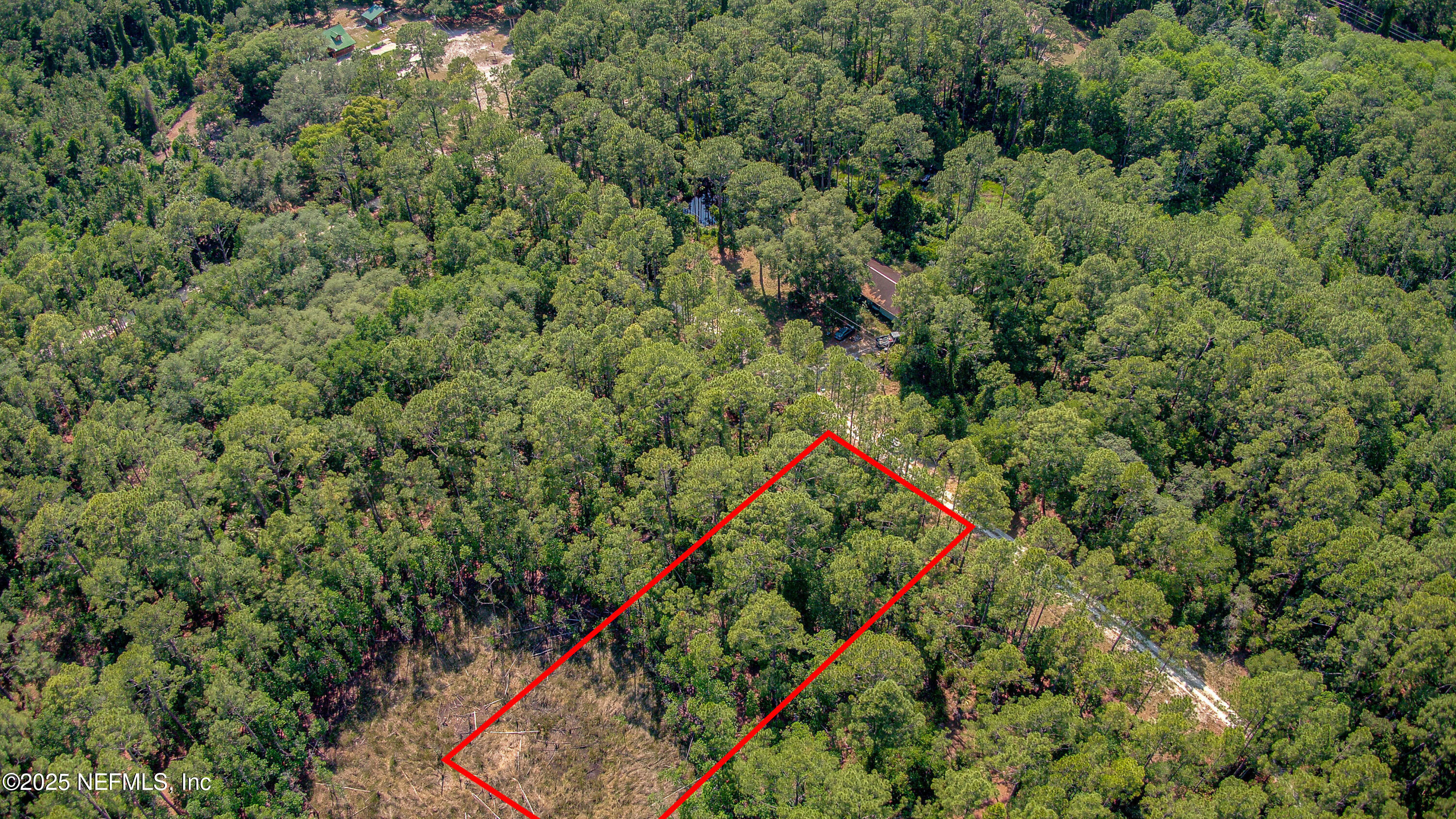 109 Arden Street Georgetown, FL 32139 - Photo 9 of 15 an aerial view of a houses with a lush green forest