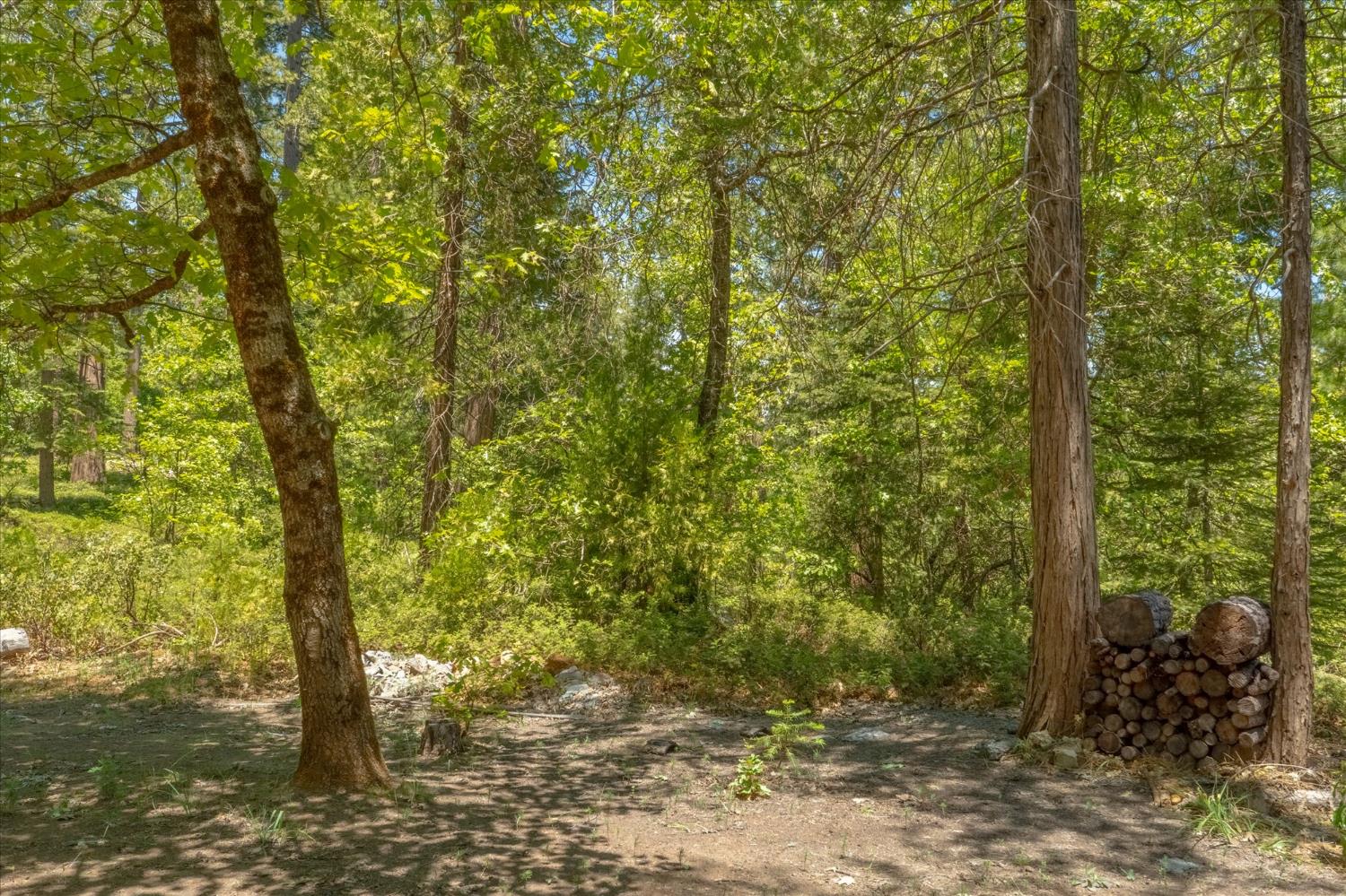 3684 Moran Road Arnold, CA 95223 - Photo 29 of 40