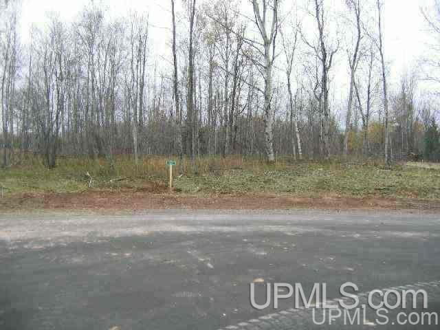 13880 Jackola Road Atlantic Mine, MI 49905 - Photo 24 of 30