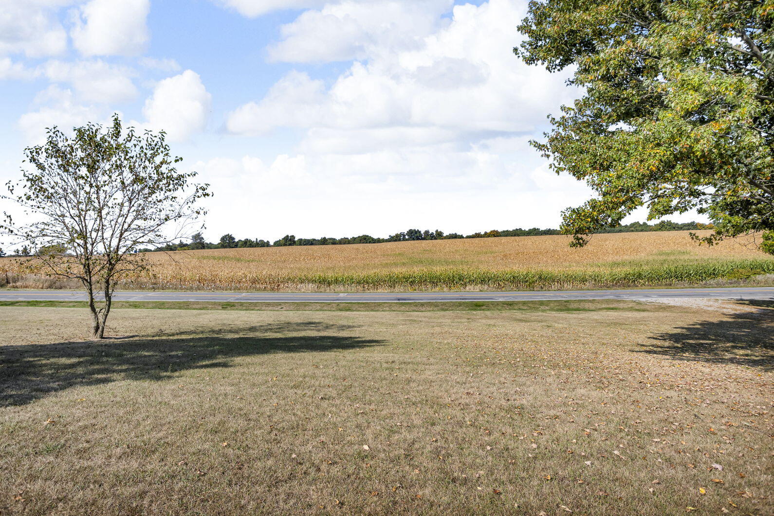 349 North Francisco Road Grass Lake, MI 49240 - Photo 41 of 42 7-web-or-mls-0N0A1555