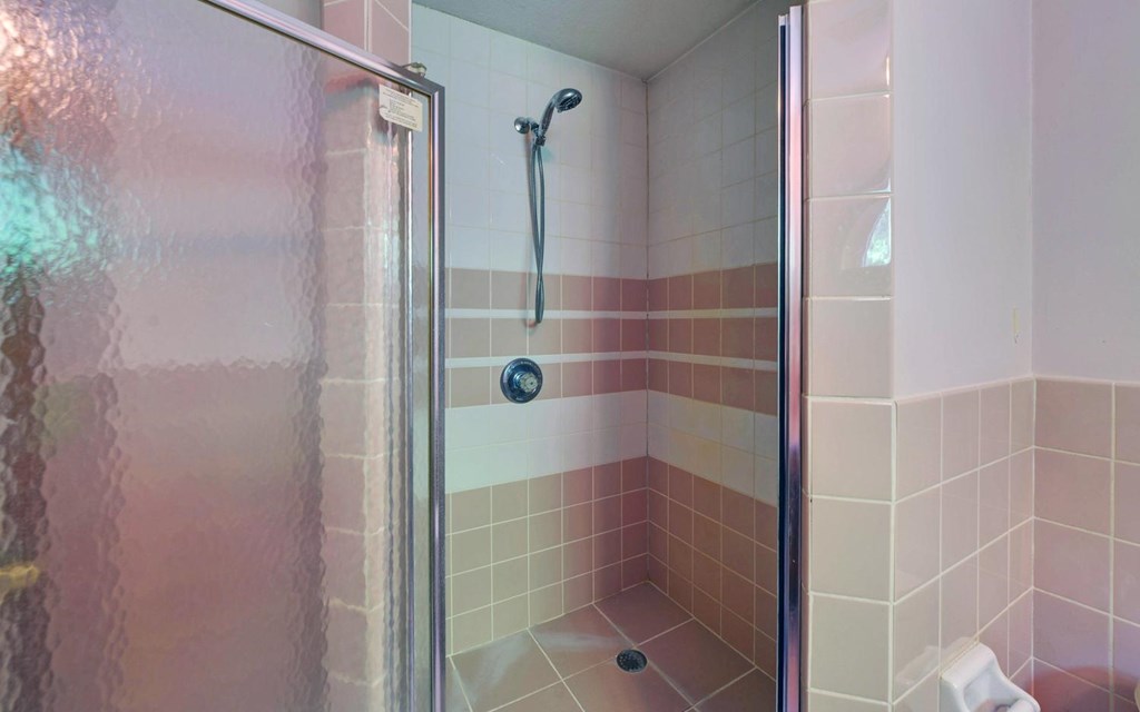 1720 Caney Creek Road Murphy, NC 28906 - Photo 23 of 69 a bathroom with a shower