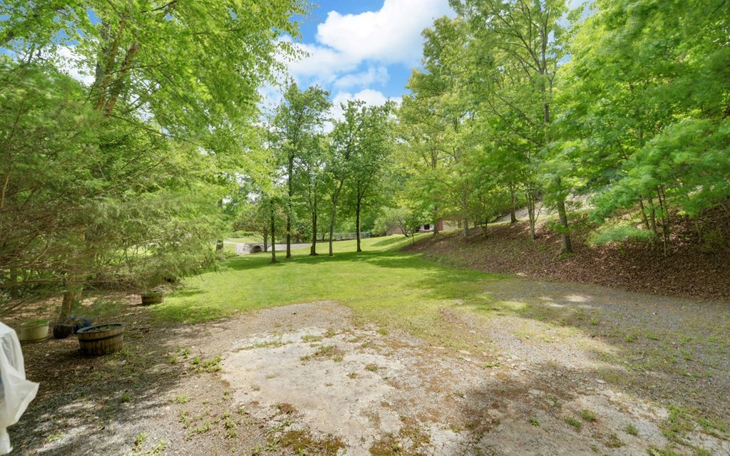 1720 Caney Creek Road Murphy, NC 28906 - Photo 69 of 69 a view of a trees with a yard