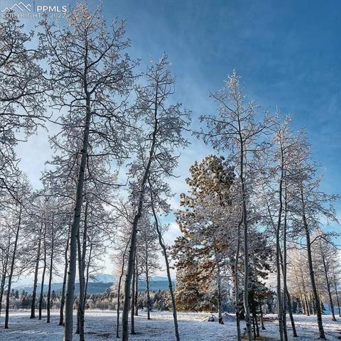 635 Ridge Drive Divide, CO 80814 - Photo 50 of 50 Gallery Image 50