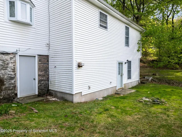 a view of a backyard with plants and large tree