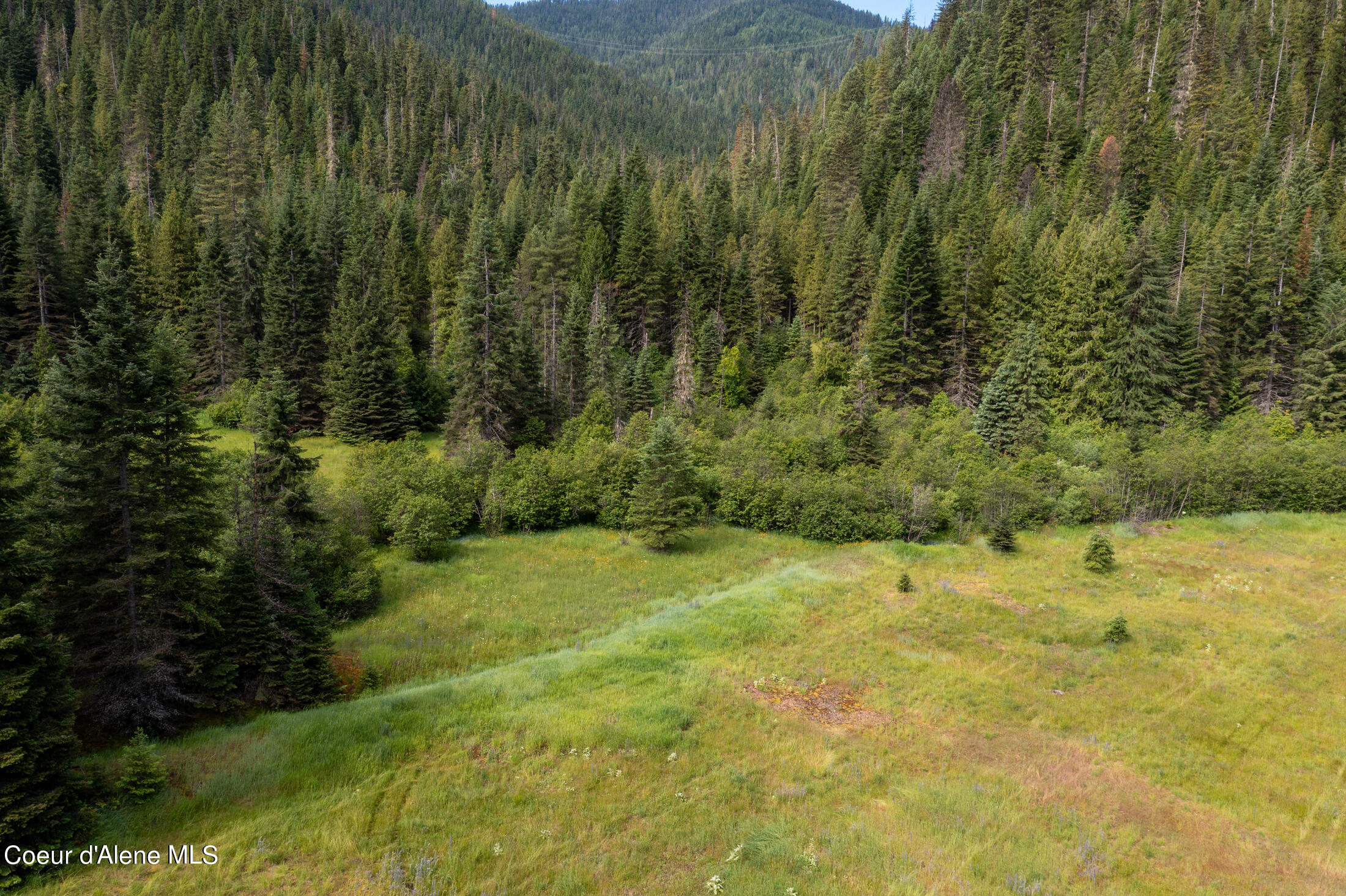 Nna Beaver Creek Road Wallace, ID 83873 - Photo 4 of 57 DJI_0837-HDR-40