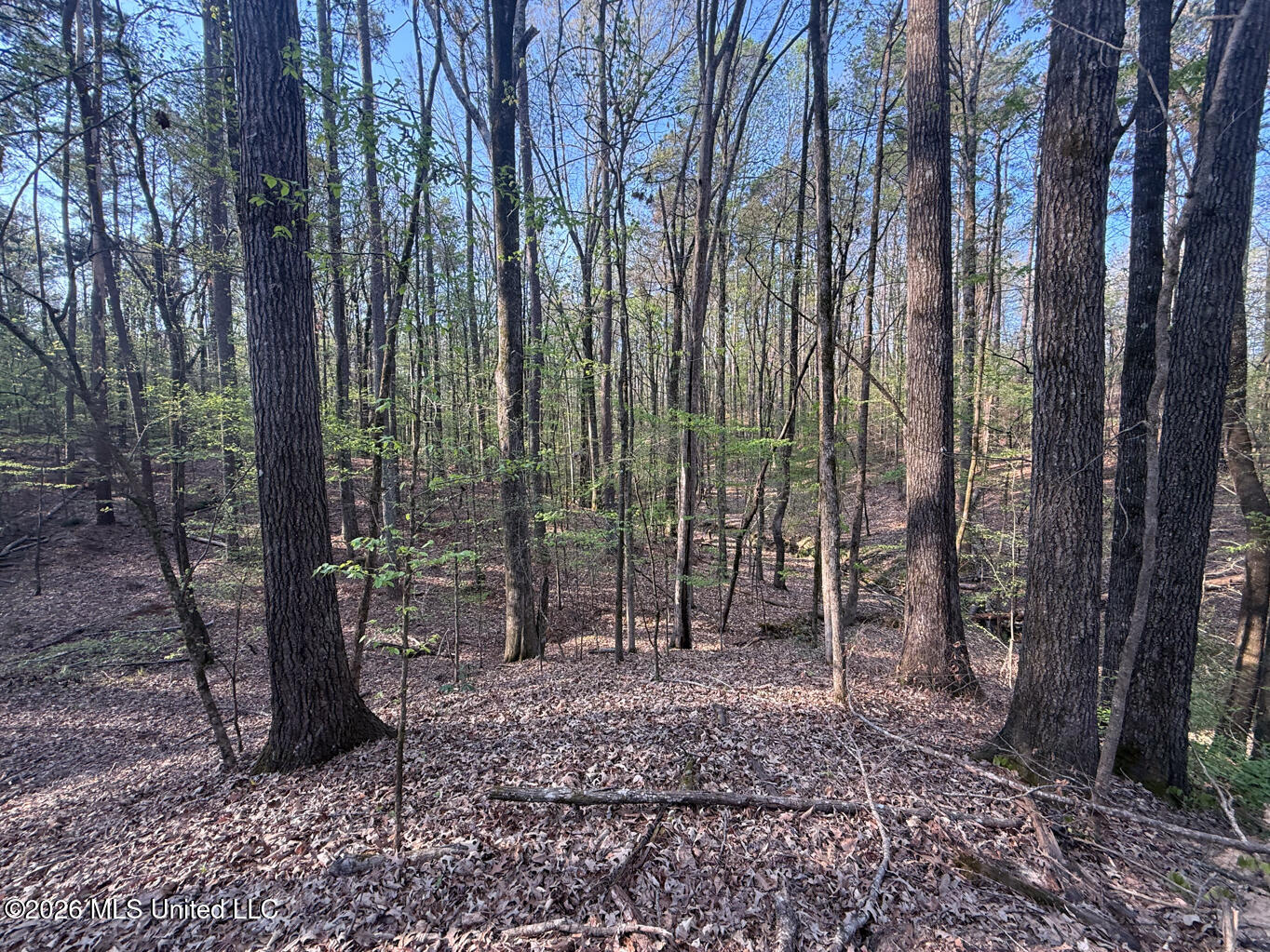 674 East J Henry Road Grenada, MS 38901 - Photo 11 of 26 Grenada 155 EDITS-11