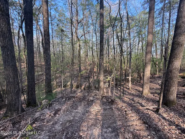 $387,500 | 674 East J Henry Road, Grenada, MS 38901