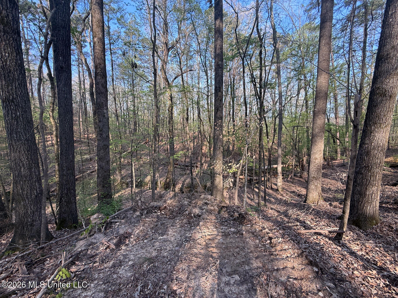 674 East J Henry Road Grenada, MS 38901 - Photo 12 of 26 Grenada 155 EDITS-12