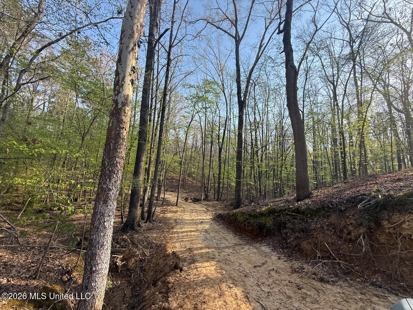 674 East J Henry Road Grenada, MS 38901 - Photo 13 of 26 Grenada 155 EDITS-13