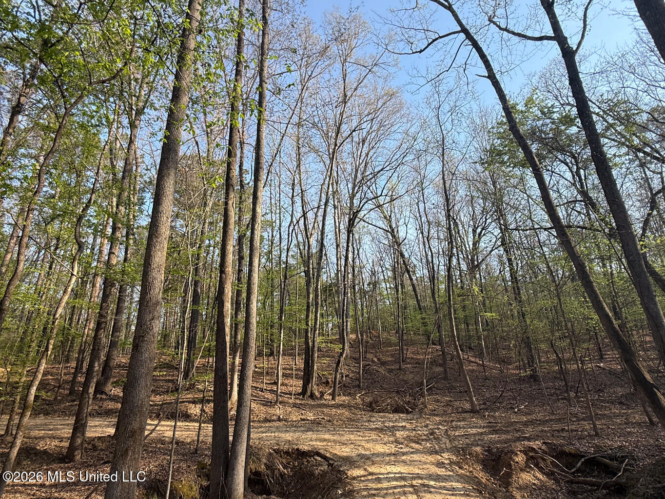 674 East J Henry Road Grenada, MS 38901 - Photo 14 of 26 Grenada 155 EDITS-14