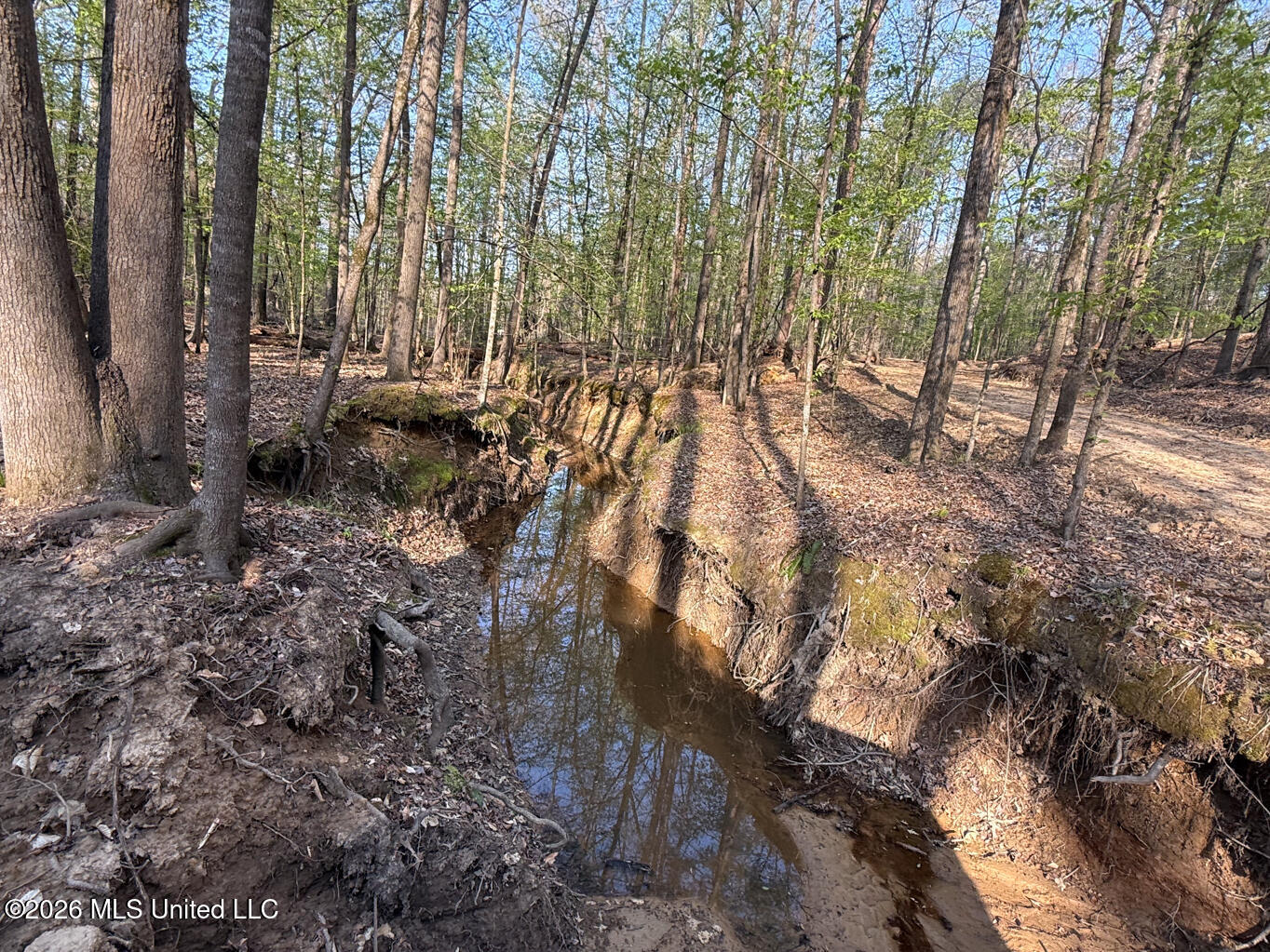 674 East J Henry Road Grenada, MS 38901 - Photo 15 of 26 Grenada 155 EDITS-15