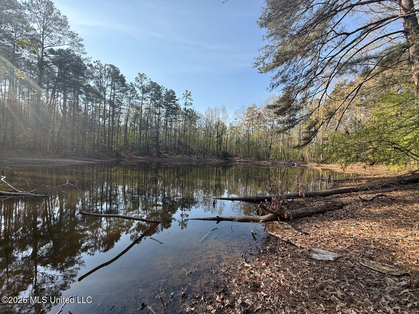 674 East J Henry Road Grenada, MS 38901 - Photo 16 of 26 Grenada 155 EDITS-16