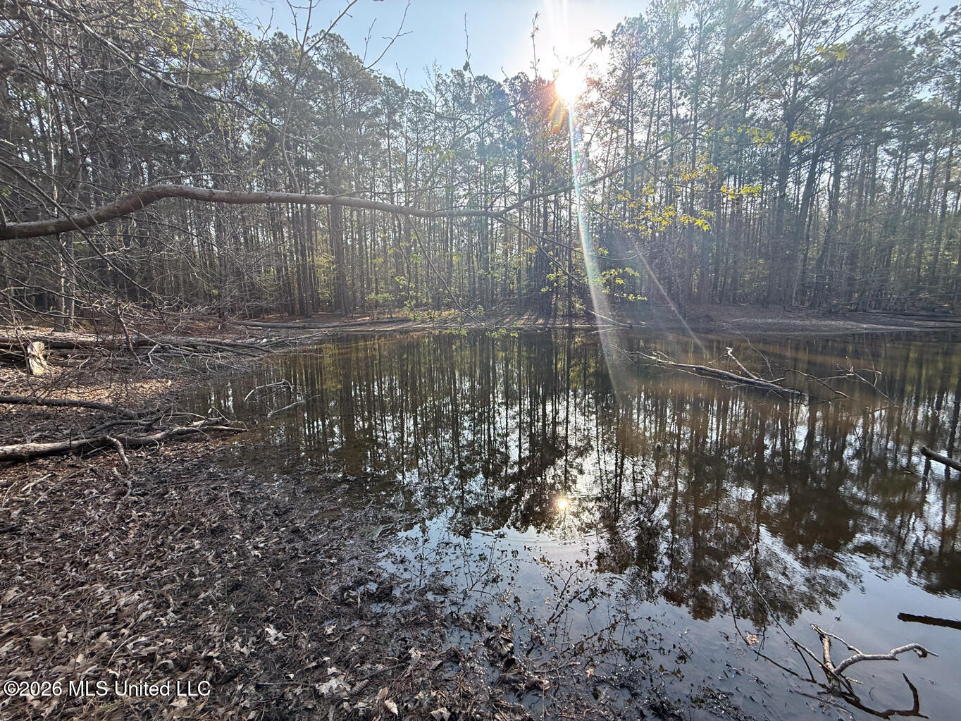 674 East J Henry Road Grenada, MS 38901 - Photo 17 of 26 Grenada 155 EDITS-17