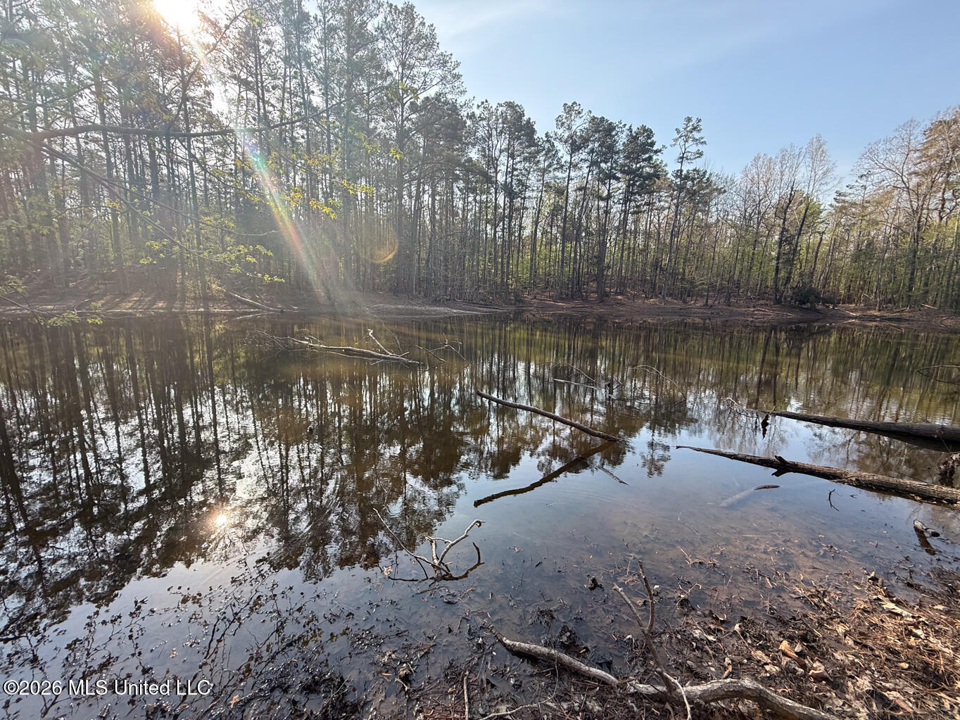 674 East J Henry Road Grenada, MS 38901 - Photo 18 of 26 Grenada 155 EDITS-18
