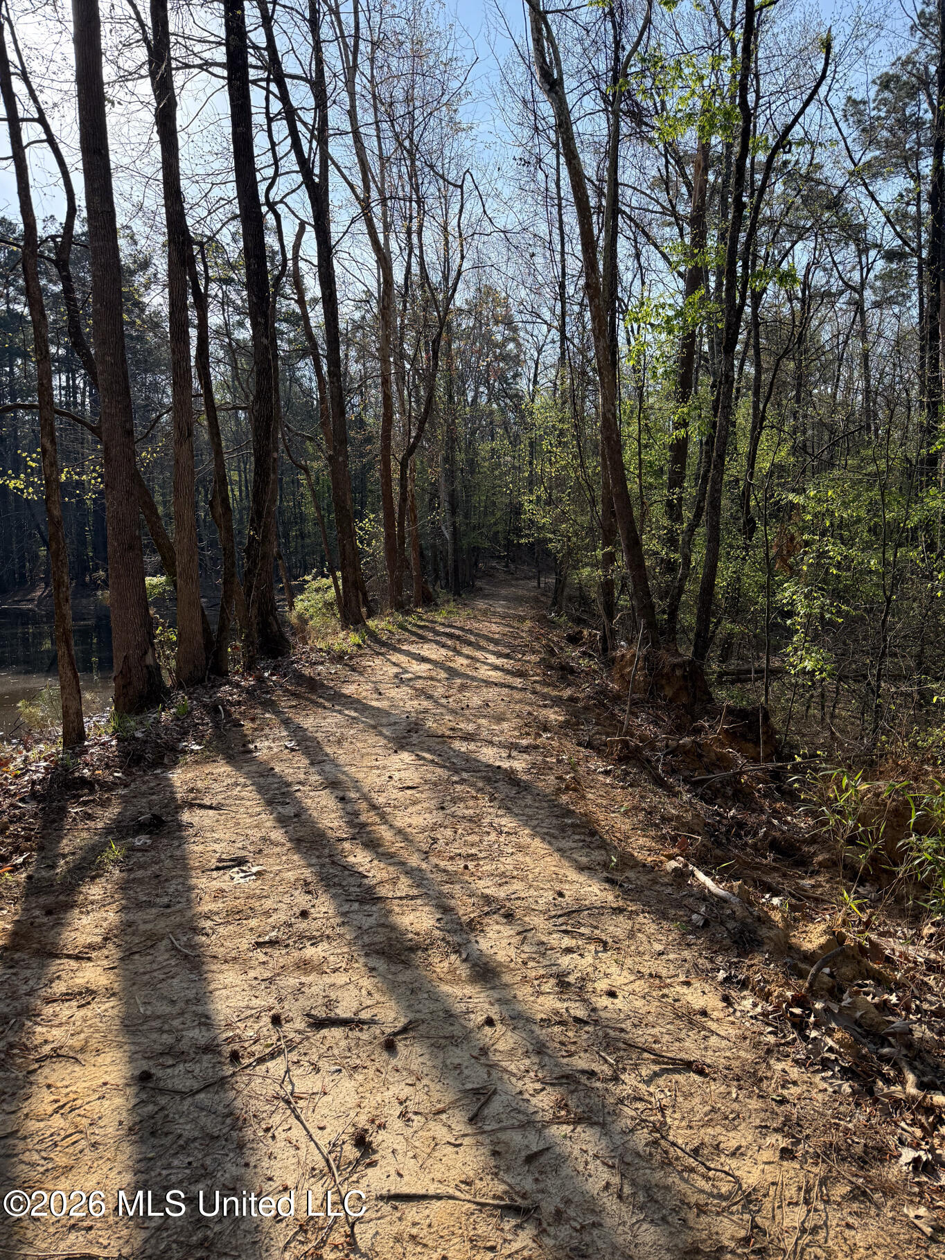 674 East J Henry Road Grenada, MS 38901 - Photo 20 of 26 Grenada 155 EDITS-20