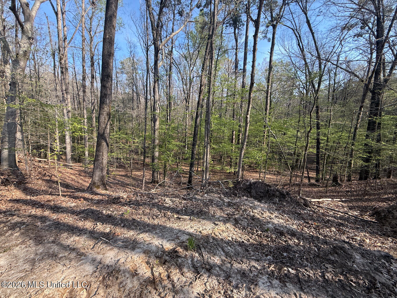 674 East J Henry Road Grenada, MS 38901 - Photo 21 of 26 Grenada 155 EDITS-21