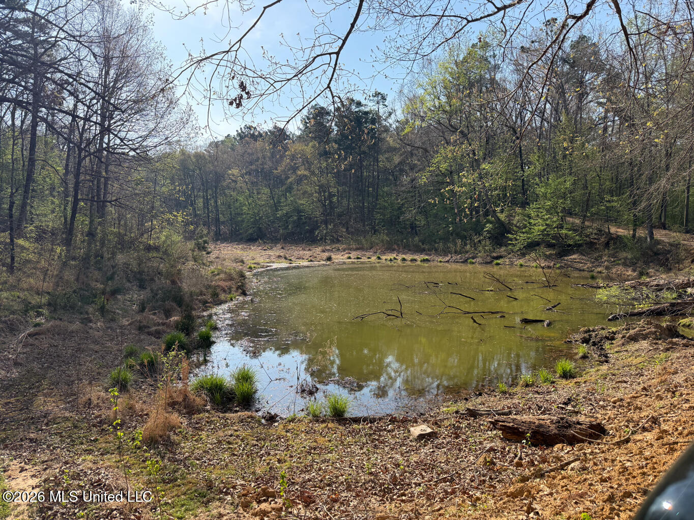 674 East J Henry Road Grenada, MS 38901 - Photo 22 of 26 Grenada 155 EDITS-22