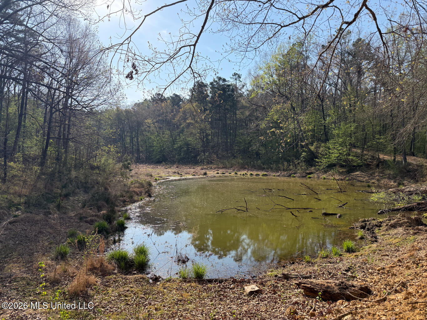 674 East J Henry Road Grenada, MS 38901 - Photo 23 of 26 Grenada 155 EDITS-23