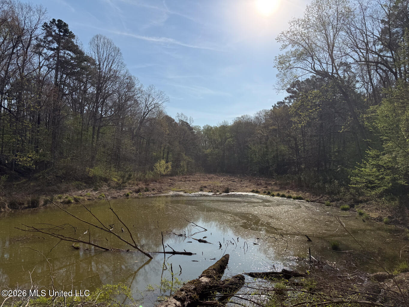 674 East J Henry Road Grenada, MS 38901 - Photo 24 of 26 Grenada 155 EDITS-24