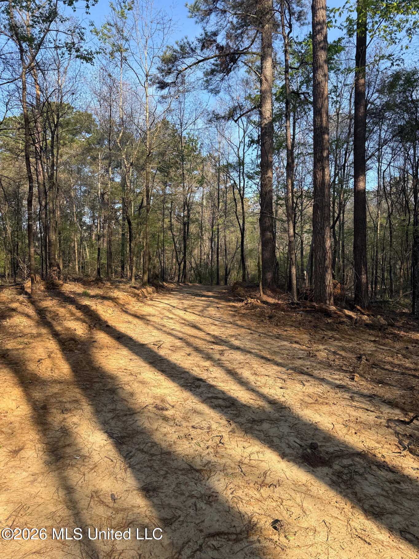 674 East J Henry Road Grenada, MS 38901 - Photo 3 of 26 Grenada 155 EDITS-3